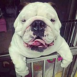 周书的头像