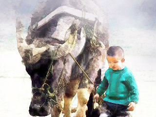 牧·童（個人主頁-ZNjYyNDc4MA==） - 修圖/后期 - 站酷設(shè)計師無我裕歌原創(chuàng)素材 - 站酷ZCOOL