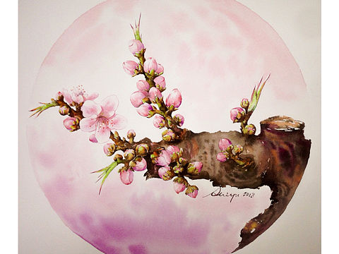 一束桃花满庭春！