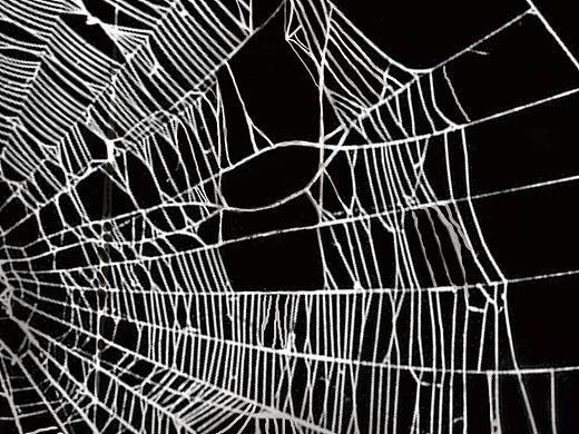 《绝对捕获》——有你吗？（个人主页-ZMzEwMTYxMDA=） - 宣传物料 - 站酷设计师XYT_HMM原创素材 - 站酷ZCOOL