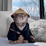 无锡设计是也的头像