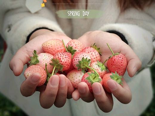 草莓 碎片（个人主页-ZNTEyNzc0MDQ=） - 产品摄影 - 站酷设计师喵小寞momo原创素材 - 站酷ZCOOL