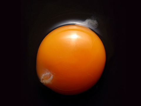 食物的内心世界·美食摄影