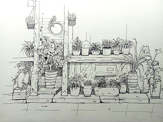 临摹练习:盆栽手绘