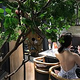 浠爷_Cici的头像
