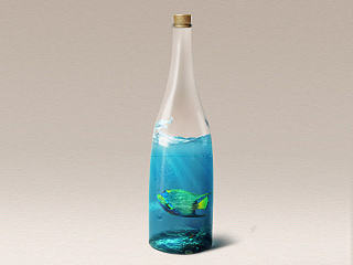 玻璃材质瓶子练习/合成