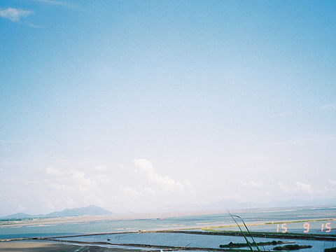 寻光