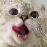 郭裤衩的头像