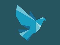 [練習(xí)作品]飛鳥