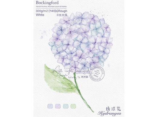 板绘水彩花卉 绣球花