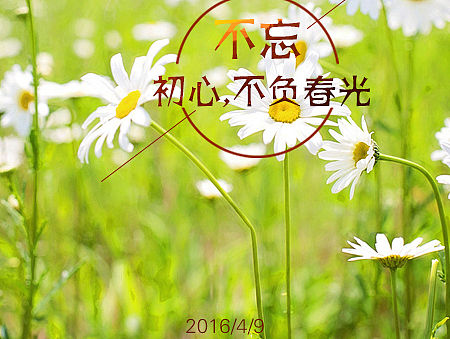 不忘初心 不负春光（个人主页-ZMTU4ODIyMDg=） - 品牌 - 站酷设计师文艺青年_123原创素材 - 站酷ZCOOL