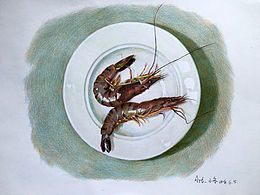 素描灵感