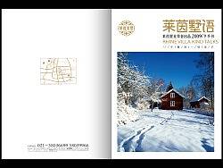 上海莱茵美墅客户刊物《莱茵墅语》（2009年作品）