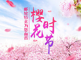 樱花时节专题