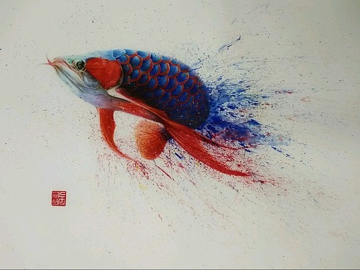 3年前_lelia1521164纯艺术-绘画关于龙鱼的手绘彩铅画二4年前_lelia