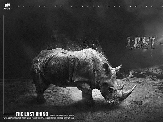 最后的犀牛 /The Last Rhino -个人练习(个人主页-ZMjEyMjU2NTY=) - 海报 - 站酷设计师超烦大师原创素材 - 站酷ZCOOL