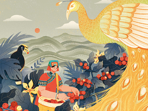 轻醒咖啡｜云南精品·民族好豆