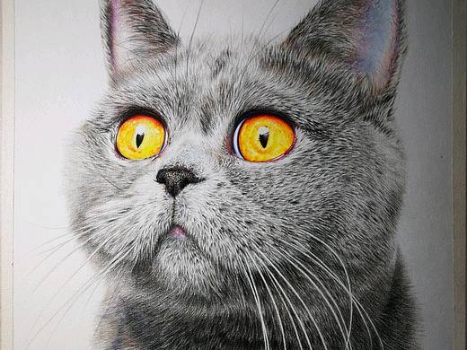 彩铅猫咪