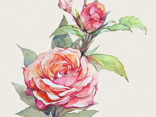 Happy Valentines Day!（个人主页-ZNzE5NDQ1Mg==） - 创作习作 - 站酷设计师一点张原创素材 - 站酷ZCOOL