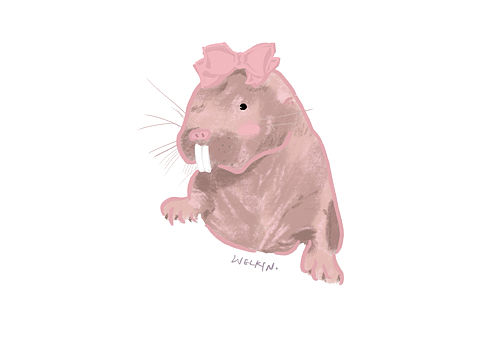 裸鼹鼠（个人主页-ZMjkzNzgwOTI=） - 儿童插画 - 站酷设计师Welkinkk原创素材 - 站酷ZCOOL