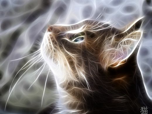 式神（個人主頁-ZMTIyNTc5ODg=） - 其他平面 - 站酷設計師傀儡Soul戀原創(chuàng)素材 - 站酷ZCOOL