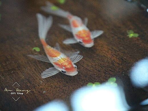 树脂画