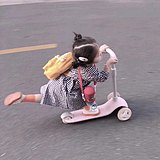 甜心少女乐多的头像
