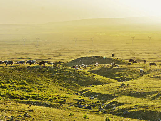 我心中的草原—巴里坤草原
