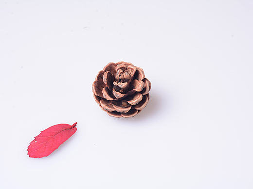 白茶清欢无别事