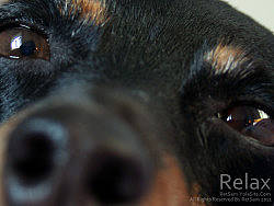 Wallpaper x 3（个人主页-ZMTAzNDgzMg==） - 宣传物料 - 站酷设计师retsam原创素材 - 站酷ZCOOL