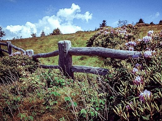 《色 彩》（个人主页-ZMTI3NzgxOTY=） - 修图/后期 - 站酷设计师sw_i原创素材 - 站酷ZCOOL