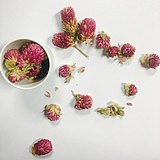 环环LiLi的头像