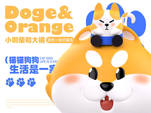 ［小啊柴与大橘］宠物品牌IP全案（可授权）