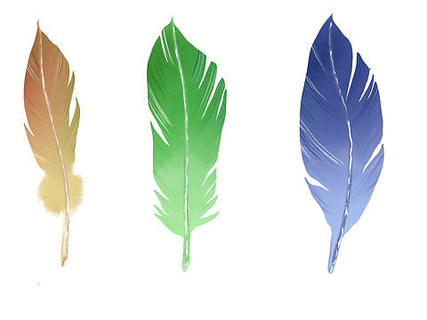 羽毛（個人主頁-ZMzc0NTYzNjg=） - 創(chuàng)作習作 - 站酷設計師東子于原創(chuàng)素材 - 站酷ZCOOL