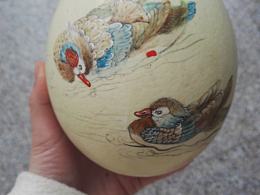 鴛鴦戲水