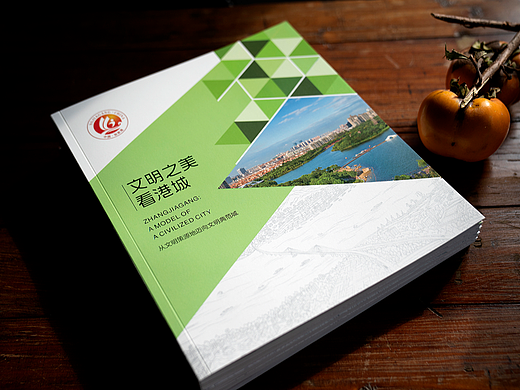 《文明之美看港城》宣传册设计