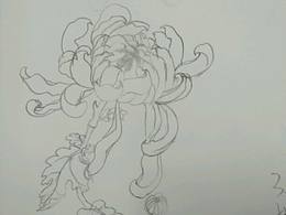 练习