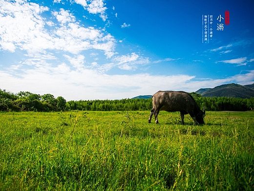 二十四節(jié)氣之小滿（個人主頁-ZMTIyODYxMTY=） - 風(fēng)光攝影 - 站酷設(shè)計師修炎真吾原創(chuàng)素材 - 站酷ZCOOL