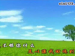 Flash as2.0 flv 播放器