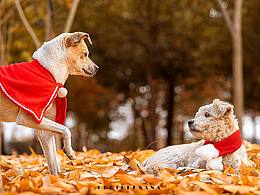 有你在 我的生活充滿陽光