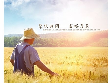 画册-凑乎看