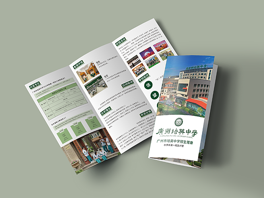 招生简章之三折页（个人主页-ZNjE5MTkzMDQ=） - 宣传物料 - 站酷设计师低调的肥猪原创素材 - 站酷ZCOOL