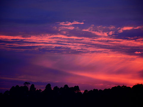 让晚风轻轻吹送了落霞