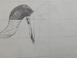 设计素描，羊头