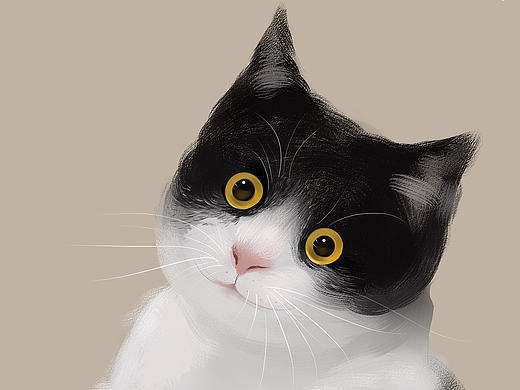 貓（個(gè)人主頁-ZMjEyMDI4ODg=） - 商業(yè)插畫 - 站酷設(shè)計(jì)師Momoko皮皮巫原創(chuàng)素材 - 站酷ZCOOL