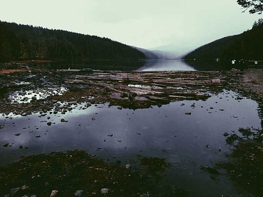 普达措国家公园（个人主页-ZOTE4MjE4OA==） - 风光摄影 - 站酷设计师vvvicat原创素材 - 站酷ZCOOL