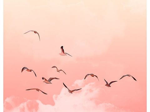 插画