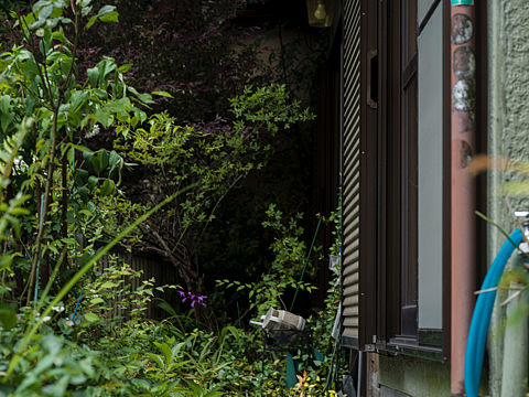 白（个人主页-ZNDQ5ODIxMzI=） - 风光摄影 - 站酷设计师Stevon_SeyMour原创素材 - 站酷ZCOOL