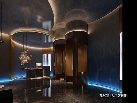 『鼎盛』高端连锁足浴会所效果图