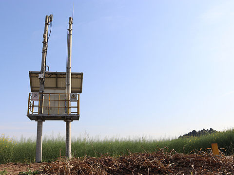 路边的景色,脚边的风景